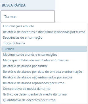 Campo de Busca Rápida